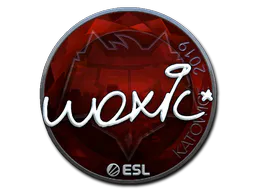 Sticker woxic (Foil) | Katowice 2019 - Preço e onde comprar no CS2