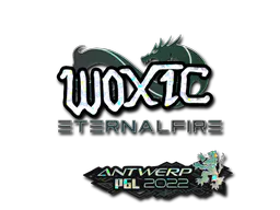 Sticker woxic (Glitter) | Antwerp 2022 - Preço e onde comprar no CS2