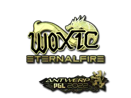 Sticker woxic (Gold) | Antwerp 2022 - Preço e onde comprar no CS2
