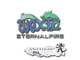 Sticker woxic (Holo) | Antwerp 2022 - Preço e onde comprar no CS2