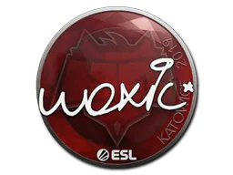 Sticker woxic | Katowice 2019 - Preço e onde comprar no CS2