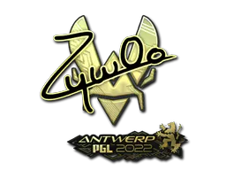 Sticker ZywOo (Gold) | Antwerp 2022 - Preço e onde comprar no CS2