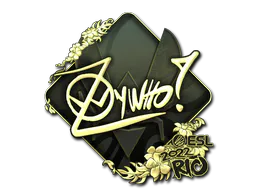 Sticker ZywOo (Gold) | Rio 2022 - Preço e onde comprar no CS2