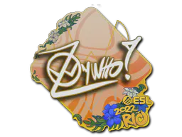 Sticker ZywOo | Rio 2022 - Preço e onde comprar no CS2