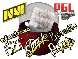 Stockholm 2021 Champions Autograph Capsule - Preço e onde comprar no CS2