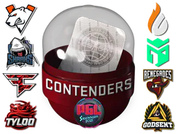 Stockholm 2021 Contenders Sticker Capsule - Preço e onde comprar no CS2
