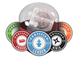 Team Roles Capsule - Preço e onde comprar no CS2