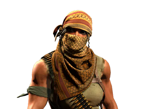 Trapper Aggressor Guerrilla Warfare - Preço e onde comprar no CS2