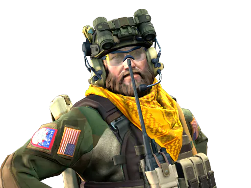 'Two Times' McCoy TACP Cavalry - Preço e onde comprar no CS2