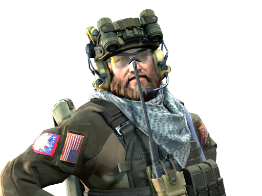 'Two Times' McCoy USAF TACP - Preço e onde comprar no CS2