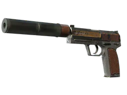 USP-S | Business Class (Battle-Scarred) — skin CS2
