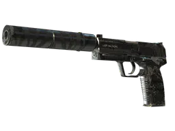 USP-S | Dark Water (Field-Tested) — skin CS2