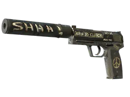 USP-S | Flashback (Battle-Scarred) — skin CS2