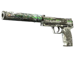 USP-S | Road Rash (Battle-Scarred) — skin CS2