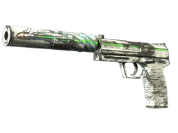 USP-S | Road Rash (Well-Worn) — skin CS2
