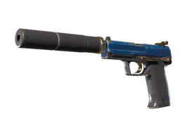 USP-S | Royal Guard (Well-Worn) — skin CS2