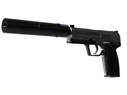 USP-S | Stainless (Field-Tested) — skin CS2