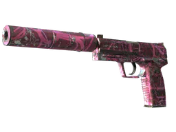 USP-S | Target Acquired (Field-Tested) — skin CS2