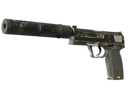 USP-S | Torque (Battle-Scarred) — skin CS2