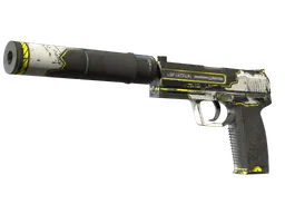 USP-S | Torque (Field-Tested) — skin CS2